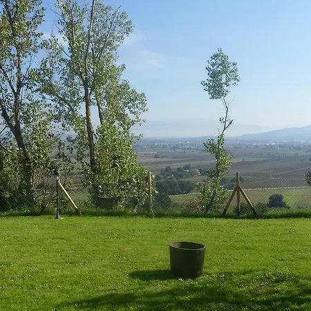 Agriturismo Il Pino Agroturismo *