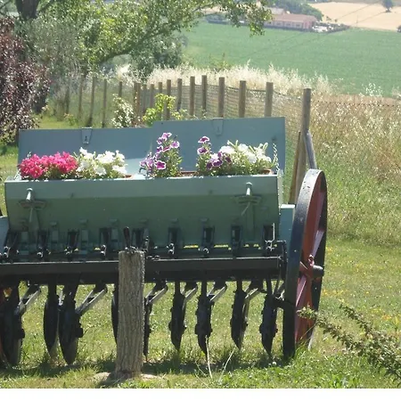Agriturismo Il Pino