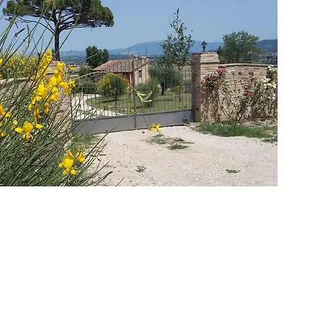 Agriturismo Il Pino Agroturismo Sant'Enea