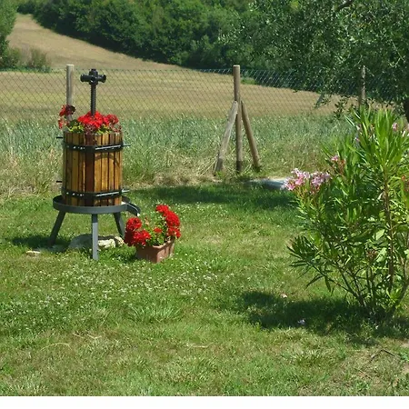 Agriturismo Il Pino *